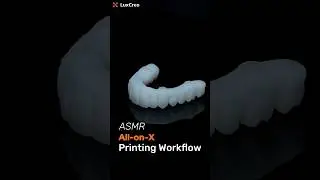 LuxCreo All-on-X Workflow ASMR