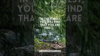 A Place You Are Free to Breathe  | Travel Quote | #travel #quotes #adventure #inspirational