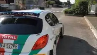 Paolo Andreucci e Peugeot 207 S2000: Ancora una volta insieme