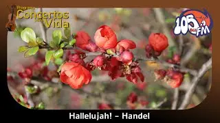 Hallelujah! - Handel