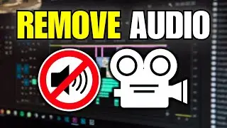 How To Remove Sound From Video (Mute Audio)