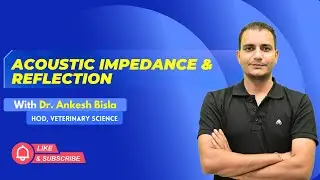 Acoustic Impedance & Reflection | By Dr. Ankesh Bisla | Wise IAS