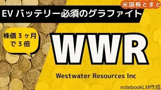 【株価3ヶ月で3倍 国家重要物質グラファイト黒鉛】WWR徹底解説(米国株投資)