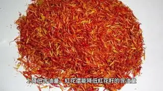 紅花鍊格孢 (Alternaria carthami)，一種紅花壞死營養型植物病原體 (Carthamustinctorius L