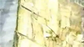 Classic Sesame Street film - a man carves a wood horse