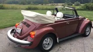 1978 VW Beetle Champagne Edition II