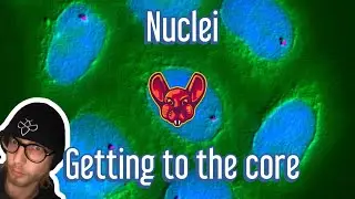 Bug Bounty Automation: Discovering Nuclei by projectdiscovery