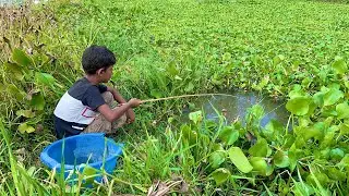 Amazing Fishing Video | Traditional Hook Fishing in Village Smart Little Boy Fishing With Hook.