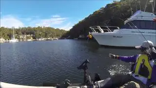 Darwin's Fishing Diary 10-05-2014 at Gymea Bay NSW (達爾文釣魚日記 - 澳洲Gymea灣黃腳鱲)