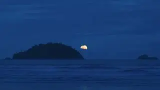 Alone with the waves (a playlist)