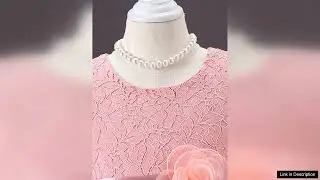 SHEIN Glamorique Kids Baby Girl Appliques Contrast Lace Mesh Overlay Party Dress Review