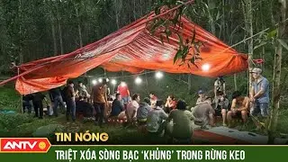 Băng rừng, lội suối, C&ocirc;ng an Đ&agrave; Nẵng ph&aacute; s&ograve;ng bạc 'khủng' | ANTV