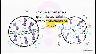 Aquaporinas: Como a Água Atravessa as Células? (Descoberta que Ganhou o Nobel!) - 56