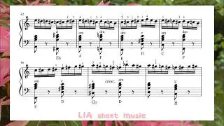 Flight of the bumblebee by Nikolay Rimsky-Korsakov (accordion)