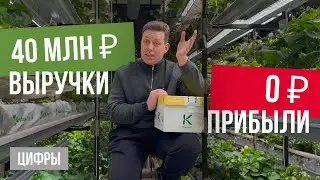 Итоги 2025 года