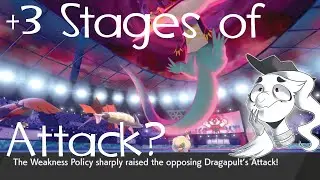 Weakness Policy Liechi Berry Dragapult