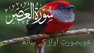 Surah Al-Asr (Surah Asr with HD Text)  Tilawat | AR Nature Life