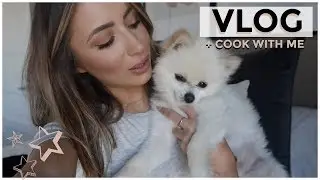 COOK WITH ME + MY PUPPY NEEDS SURGERY | VLOG
