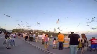 Bangpoo Seaside Resort (สถานตากอากาศ บางปู) HD