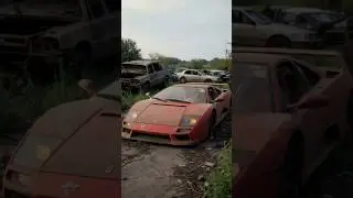 Abandoned Ferrari F40 FULL ASMR Restoration | Hypnotic Rebuild of a Rosso Corsa Icon #shorts
