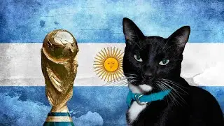 MUCHACHOS AHORA NOS VOLVIMOS A ILUSIONAR - Versión Gato