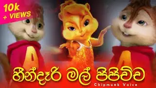 Mage Hithe Ginna (හීන්දෑරි මල් පිපිච්ච) | Chipmunk Version | Lyrics Video | Visha Recodz