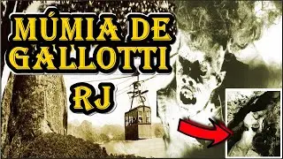 A HIST&Oacute;RIA da M&Uacute;MIA ENCONTRADA no P&Atilde;O de A&Ccedil;&Uacute;CAR - M&Uacute;MIA DA GALLOTTI