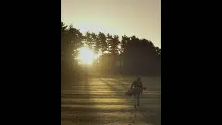 Discover Ashford Manor Sunrise