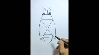 How to drawing insect || easy drawing insect step by step #drawing