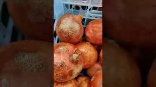 Россия Новосибирск 