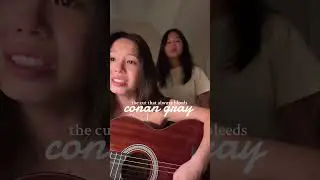 the cut that always bleeds - conan gray #conangray #cover #artist #greatcover