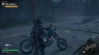 Days Gone Get to Hunt Animals Deer Location