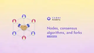 Understanding Nodes, Consensus, and Forks in Blockchain | Sabai Academy