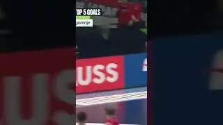 Omg 😮😮😮 it #handball #euro #trend