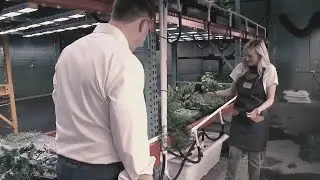 Urban Bounty Farms' shipping container growing helping vets
