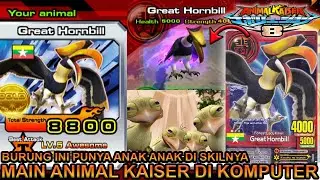 BURUNG INI SANGAT BESAR GREAT HORNBILL ANIMAL KAISER DI KOMPUTER !!! - ANIMAL KAISER EVOLUTION PC