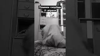 #memes #beatboxmemes #мем #beatbox #meme #общага #мемы #таракан #cockroach #пжрек#рофл