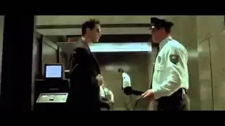 Matrix beta rex