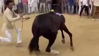 Ryyt