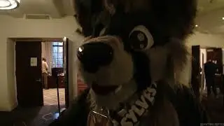 Anthro New England 2022 - Anti's Convention Clips