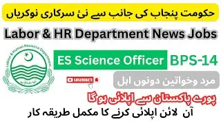 Labor & Human Resource Department Jobs 2025 | 450 Vacancies | BPS-14 Apply Online Step-by-Step Guide
