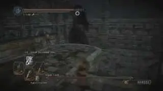 Giant Lord Farming: 500k Souls, 1x Ascetic & 2x Twinkling Titanite Per Run.