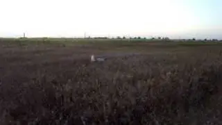 MOV04437