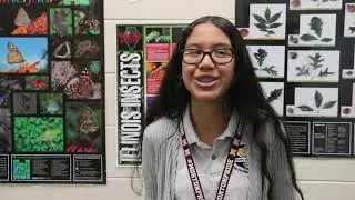 Morton Freshman Center STEM Program 2018-2019