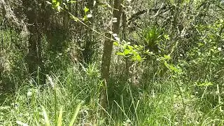 CAMINATAS Y AVENTURAS AL EXTREMO LES DESEO UN FELIZ DIA A TODOS Y. SUSCRIBETE