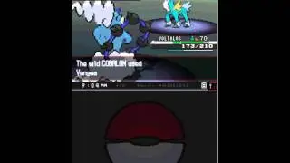 Catching Cobalon - pokemon White