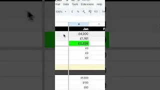 The PW Publishing Company | Cashflow Tracker with Google sheets & Excel Spreadsheets | Let's Budget!
