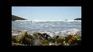 Content Music Video by Jape