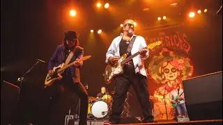 The Mavericks - Dance The Night Away | Tilburg 2022