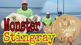 Otai pari pantai Tanjung Selangor naikkan Pari #paribesar #memancing